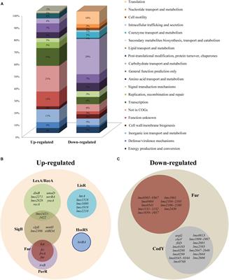 Listeria monocytogenes Relies on the Heme-Regulated Transporter hrtAB to Resist Heme Toxicity and Uses Heme as a Signal to Induce Transcription of lmo1634, Encoding Listeria Adhesion Protein